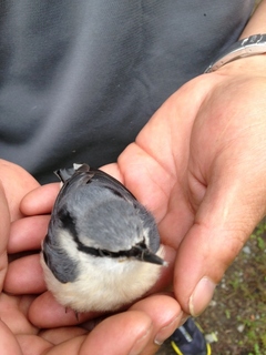 090909.jpg 090715-2.jpg.jpg